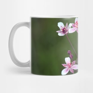 Flowering Rush Mug